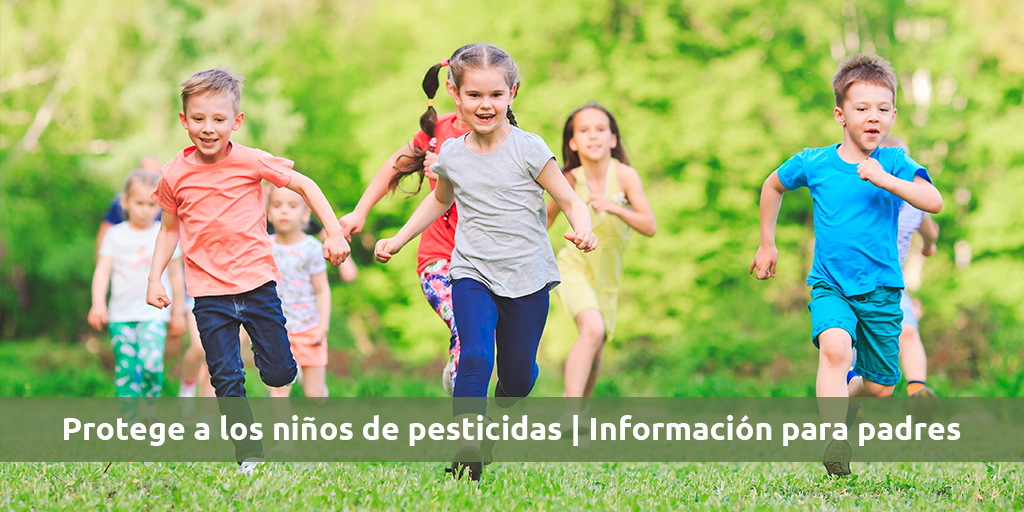 ¿Es posible fumigar con niños y mascotas en casa? 🐾👶