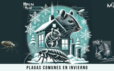 ❄️ ¿Las plagas desaparecen en temporada de frío? Descubre por qué la fumigación sigue siendo clave con Fumigaciones Aeco